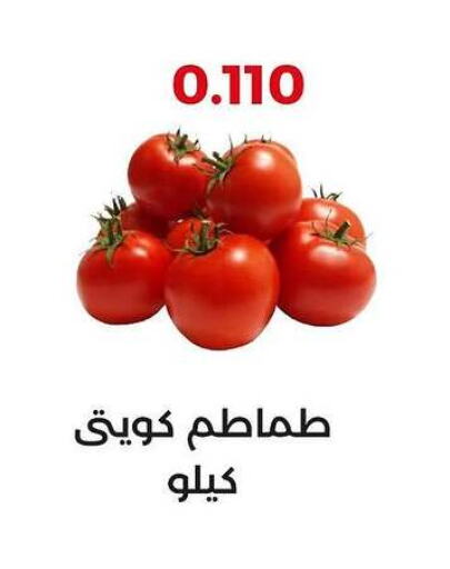 Tomato available at  Adailiya Cooperative Society in Kuwait - Jahra Governorate