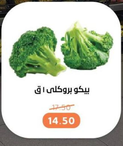 Broccoli available at Beit El Gomla in Egypt - Cairo