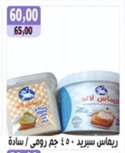 available at أبو عاصم in Egypt - القاهرة