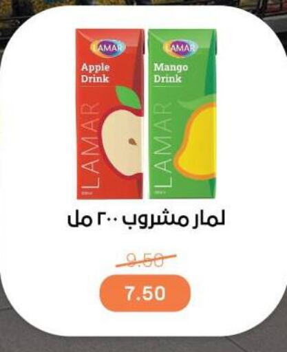 Apple Mango available at بيت الجملة in Egypt - القاهرة