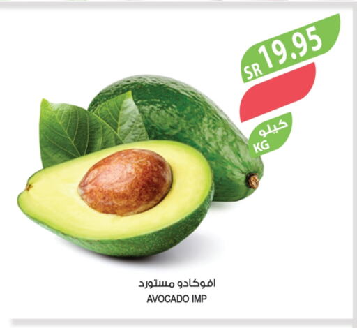 Avacado available at Farm  in KSA, Saudi Arabia, Saudi - Abha