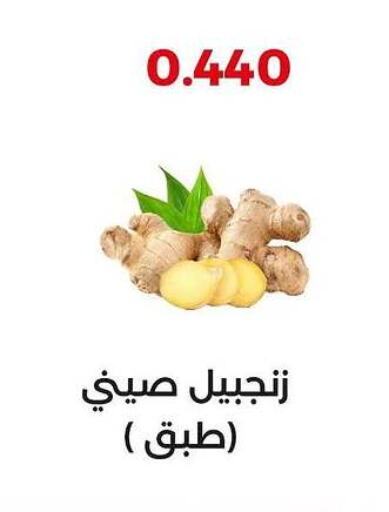 Ginger available at  Adailiya Cooperative Society in Kuwait - Jahra Governorate