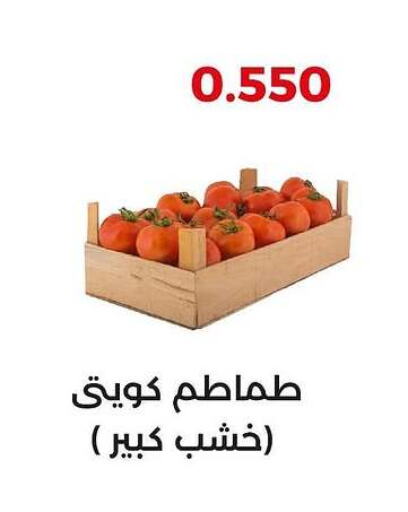 Tomato available at  Adailiya Cooperative Society in Kuwait - Jahra Governorate