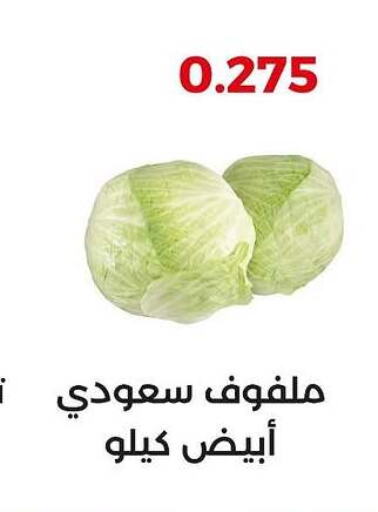 Cabbage available at  Adailiya Cooperative Society in Kuwait - Jahra Governorate