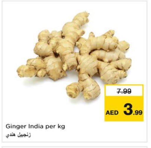 Ginger from India available at Nesto Hypermarket in UAE - Sharjah / Ajman