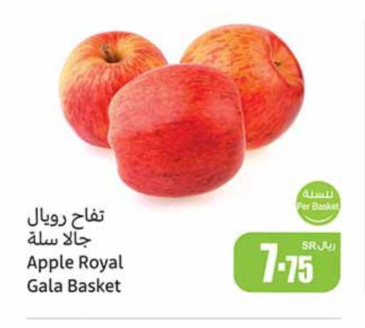 Apple available at أسواق عبد الله العثيم in مملكة العربية السعودية, السعودية, سعودية - ينبع