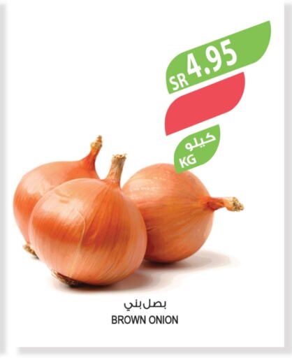 Onion available at Farm  in KSA, Saudi Arabia, Saudi - Al Bahah