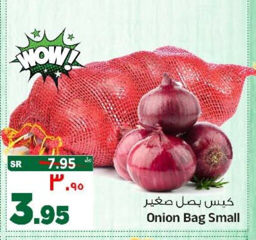 Onion available at المدينة هايبرماركت in مملكة العربية السعودية, السعودية, سعودية - الرياض