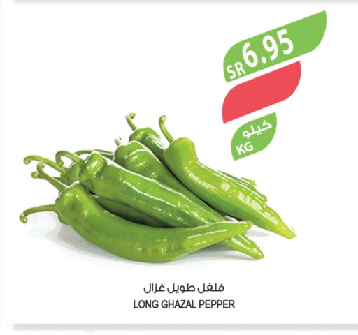 Chilli / Capsicum available at Farm  in KSA, Saudi Arabia, Saudi - Al Bahah