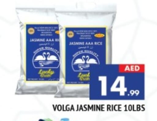 Jasmine Rice available at AL MADINA in UAE - Sharjah / Ajman