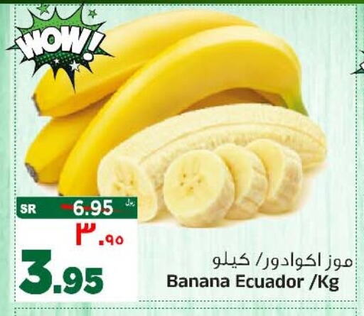 Banana from Ecuador available at Al Madina Hypermarket in KSA, Saudi Arabia, Saudi - Riyadh