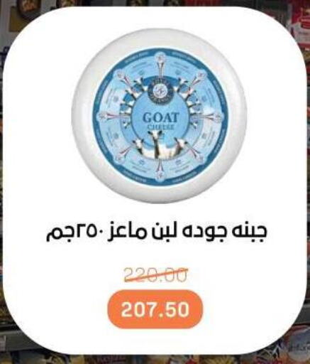 غودا available at بيت الجملة in Egypt - القاهرة