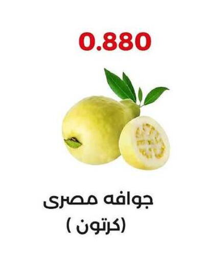 جوافة available at جمعية العديلة التعاونية in الكويت - مدينة الكويت