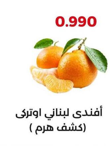 برتقال available at جمعية العديلة التعاونية in الكويت - مدينة الكويت