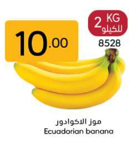 Banana from Ecuador available at Manuel Market in KSA, Saudi Arabia, Saudi - Riyadh