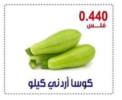 Zucchini available at Egaila Cooperative Society in Kuwait - Ahmadi Governorate