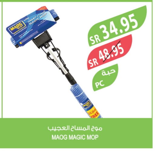 Cleaning Aid available at Farm  in KSA, Saudi Arabia, Saudi - Al Bahah