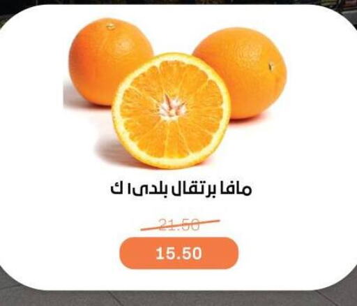 برتقال available at بيت الجملة in Egypt - القاهرة