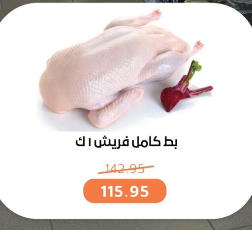 available at بيت الجملة in Egypt - القاهرة