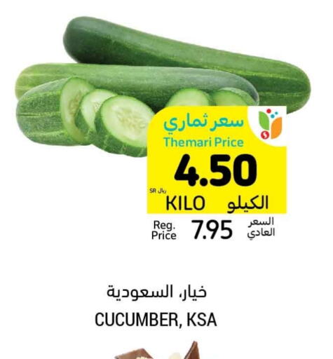 خيار available at أسواق التميمي in مملكة العربية السعودية, السعودية, سعودية - سيهات