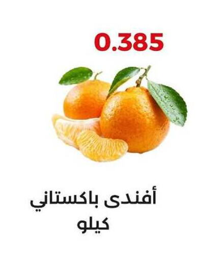 برتقال available at جمعية العديلة التعاونية in الكويت - محافظة الجهراء