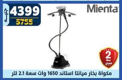 Garment Steamer available at Shaheen Center in Egypt - Cairo