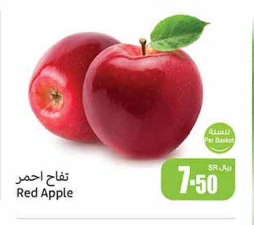 Apple available at أسواق عبد الله العثيم in مملكة العربية السعودية, السعودية, سعودية - الجبيل‎