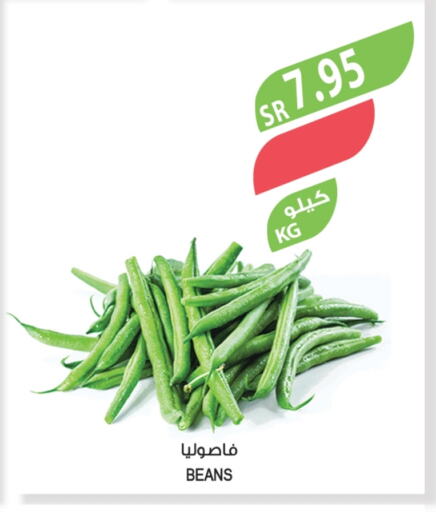 فاصوليا available at المزرعة in مملكة العربية السعودية, السعودية, سعودية - الخبر‎