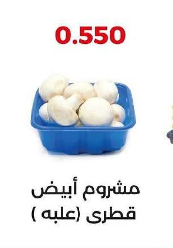 available at  Adailiya Cooperative Society in Kuwait - Jahra Governorate