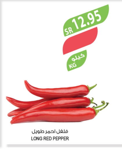 فلفل / فليفلة available at المزرعة in مملكة العربية السعودية, السعودية, سعودية - الخبر‎