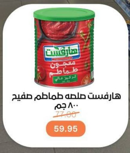 available at بيت الجملة in Egypt - القاهرة