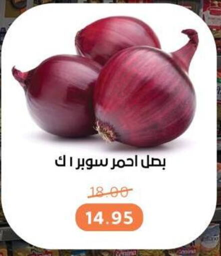 بصل available at بيت الجملة in Egypt - القاهرة