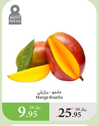 زيبا مانجو available at الراية in مملكة العربية السعودية, السعودية, سعودية - المدينة المنورة