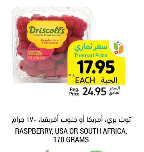 Berries from South Africa available at Tamimi Market in KSA, Saudi Arabia, Saudi - Jeddah