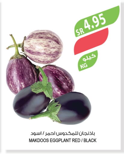 Eggplant available at المزرعة in مملكة العربية السعودية, السعودية, سعودية - سيهات