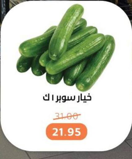 خيار available at بيت الجملة in Egypt - القاهرة