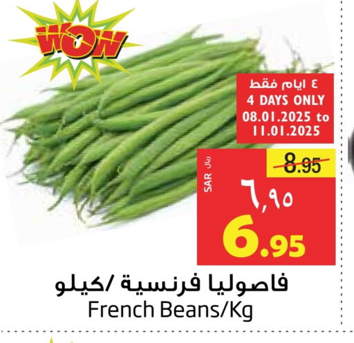 Beans from France available at Layan Hyper in KSA, Saudi Arabia, Saudi - Dammam