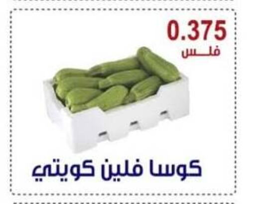 Zucchini available at Egaila Cooperative Society in Kuwait - Ahmadi Governorate