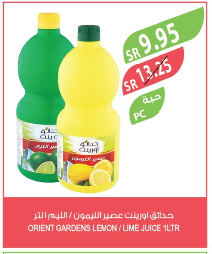 Lemon available at Farm  in KSA, Saudi Arabia, Saudi - Al Bahah