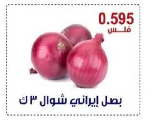 بصل available at جمعية العقيلة التعاونية in الكويت - محافظة الأحمدي