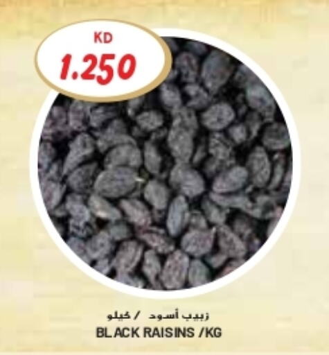 available at جراند كوستو in الكويت - محافظة الأحمدي