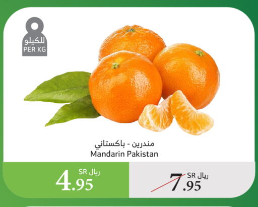 برتقال from Pakistan available at الراية in مملكة العربية السعودية, السعودية, سعودية - المدينة المنورة