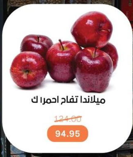 تفاح available at بيت الجملة in Egypt - القاهرة