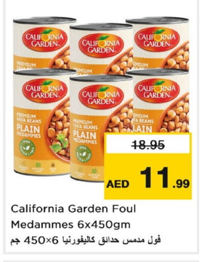 CALIFORNIA Fava Beans available at Nesto Hypermarket in UAE - Sharjah / Ajman