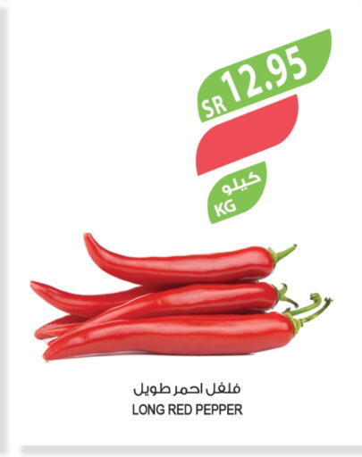 Chilli / Capsicum available at Farm  in KSA, Saudi Arabia, Saudi - Al Bahah