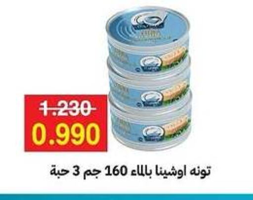 تونة - معلب available at جمعية مدينة صباح الأحمد التعاونية in الكويت - مدينة الكويت