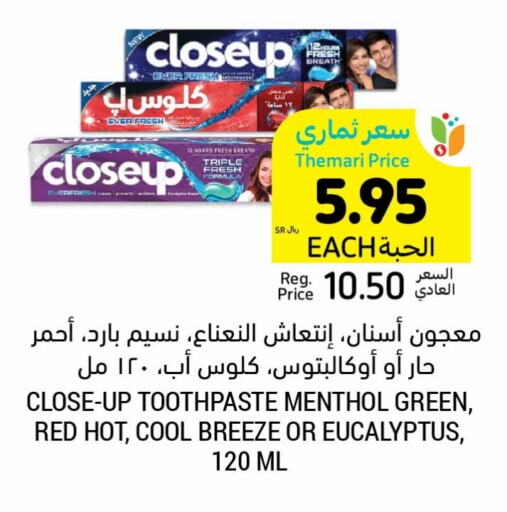 CLOSE UP Toothpaste available at Tamimi Market in KSA, Saudi Arabia, Saudi - Abha