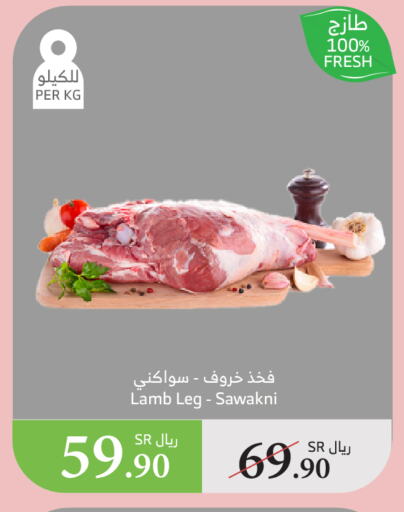 لحم الضأن / الغنم available at الراية in مملكة العربية السعودية, السعودية, سعودية - القنفذة