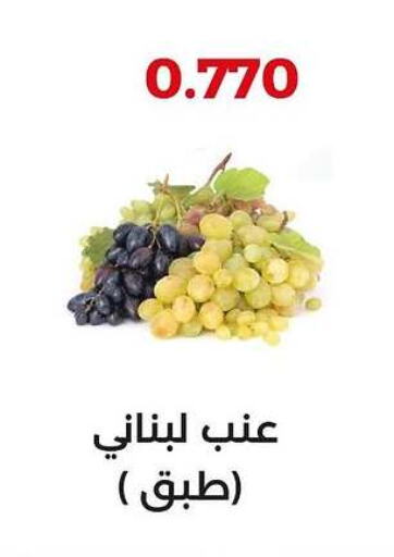 Grapes available at  Adailiya Cooperative Society in Kuwait - Jahra Governorate