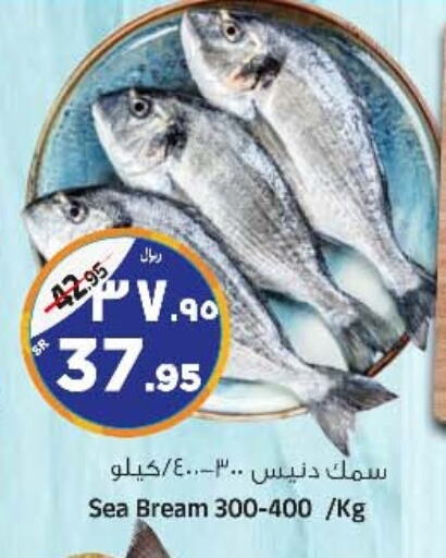 available at المدينة هايبرماركت in مملكة العربية السعودية, السعودية, سعودية - الرياض